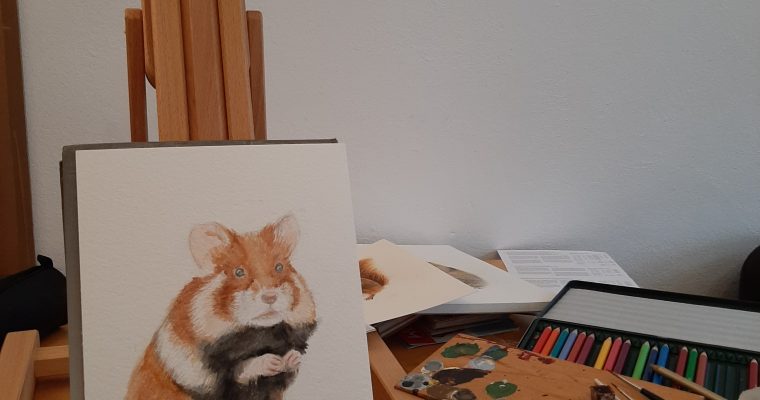 Hamsterzeichnung