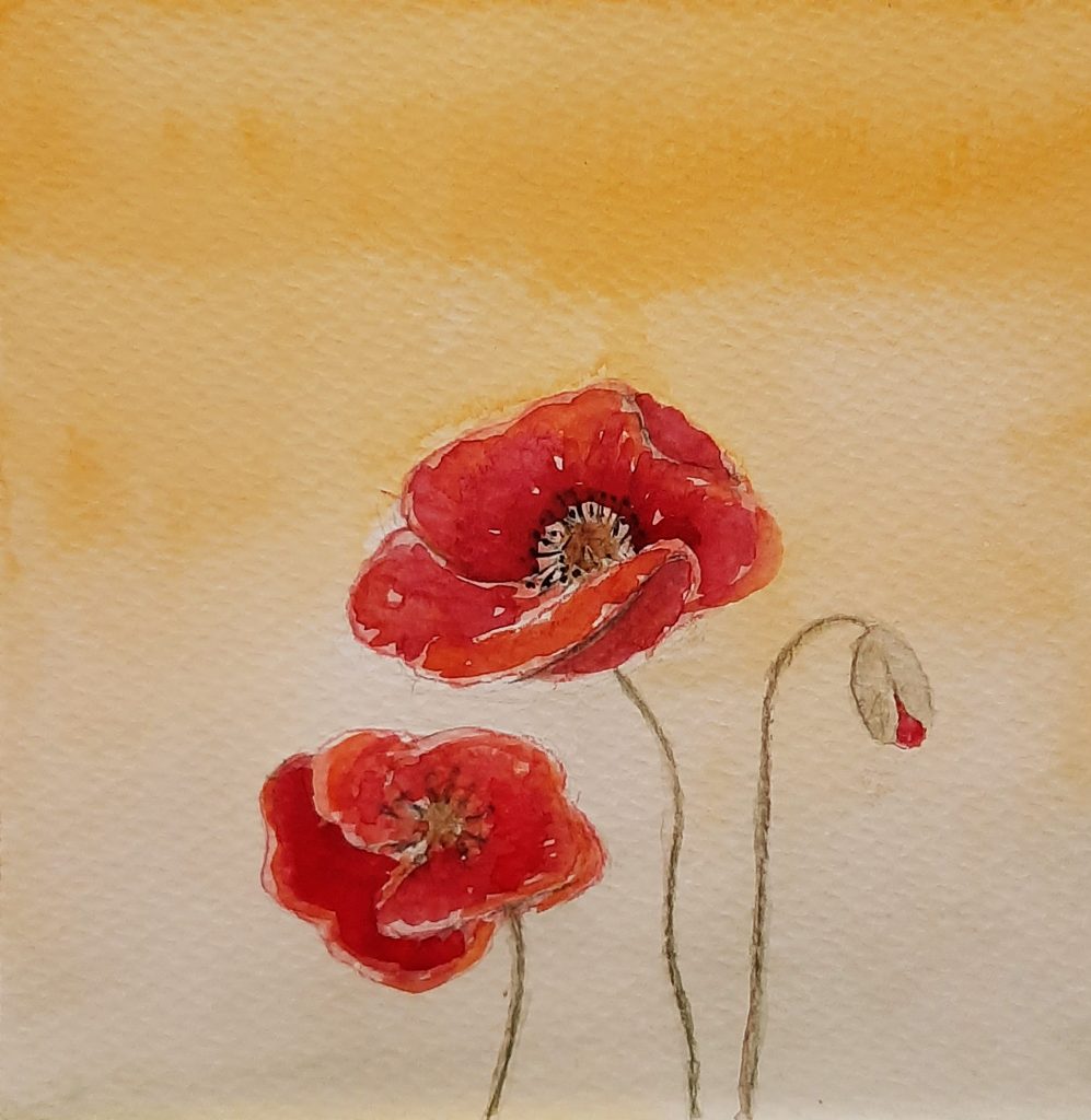 Mohnblumen - Aquarell