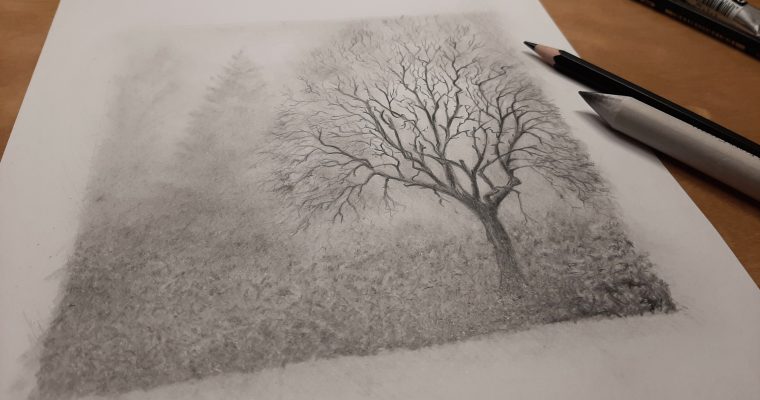 Wintermorgen – Baum im Nebel